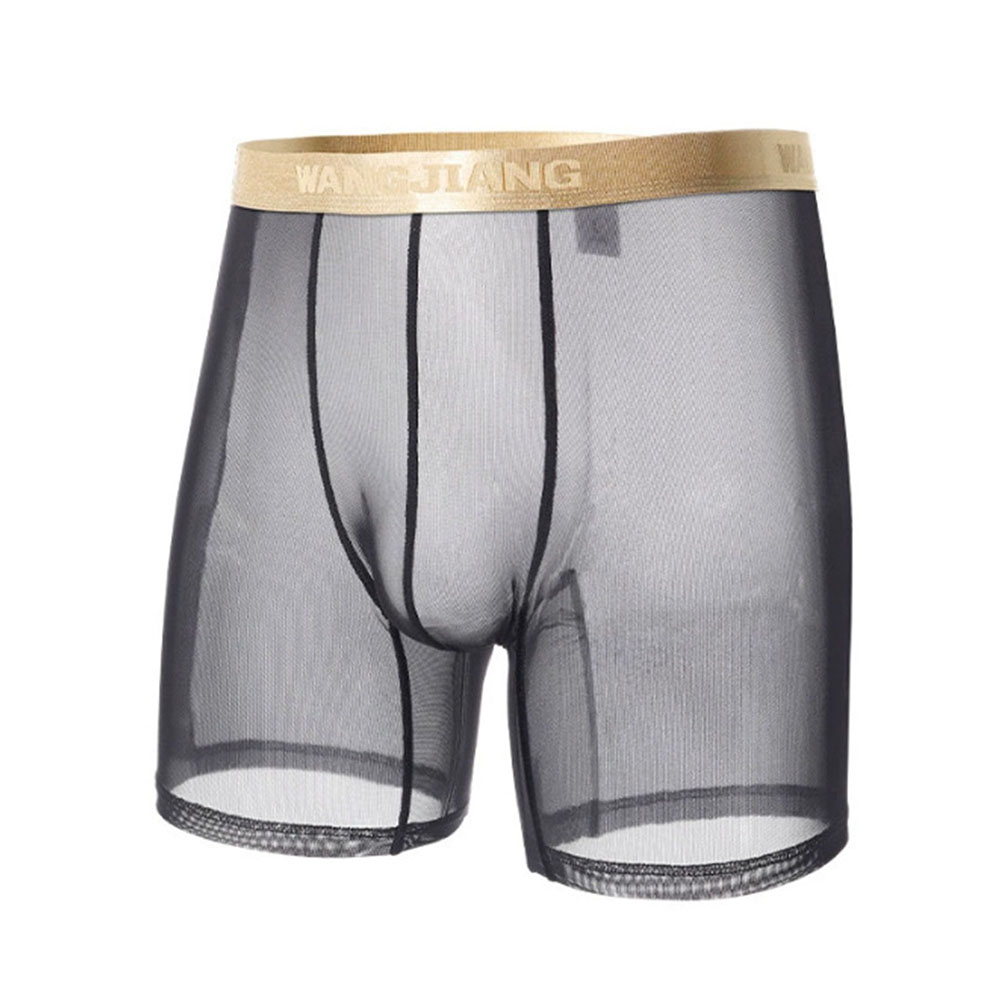 Celana Boxer Tipis Transparan  - Boxer Shorts Modal ulasan dan harga